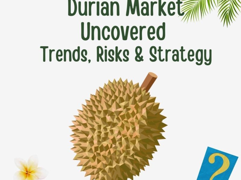 Durina Market Uncoverd: Trends, Risks &&nbsp;Strategy